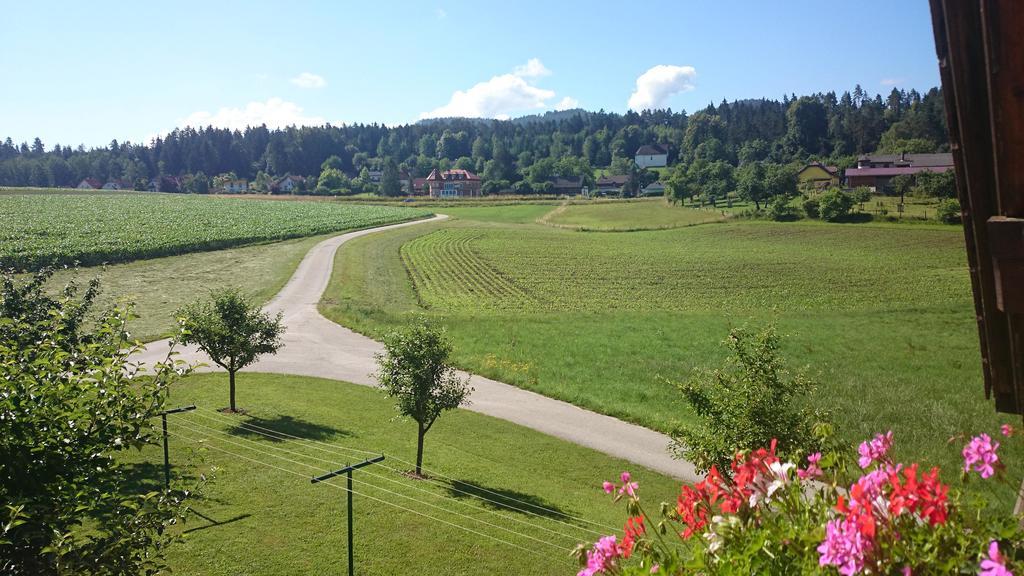 Gaestehaus Lipnik Appartement